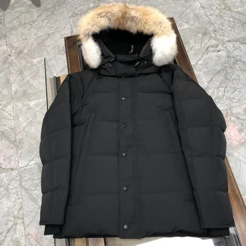 Wyndham parka293808M