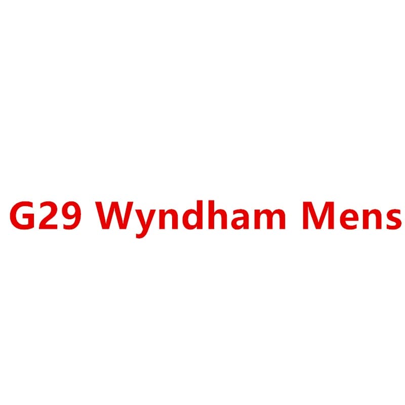 G29