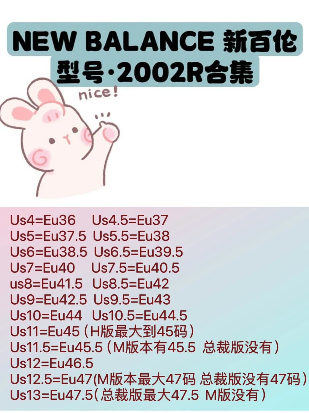 NB2002R TOP/M/ NB